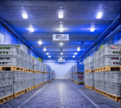 Cold Room
